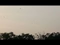 President of India's helicopter landing near my house