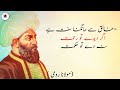 Never be silent In Five situations | Maulana Rumi quotes in urdu By Info Mi