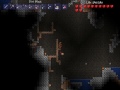 Terraria ROTD 5