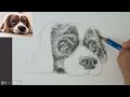 Drawing a Cute Puppy