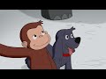 Curious George Controls Traffic! __ 1 Hour of Curious George __ Videos For Kids