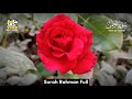 SURAH RAHMAN URDU TARJME KE SATH | EP0095 | QARI AL SHAIKH ABDUL BASIT | SURAH RAHMAN FUL