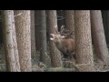 September nature Spirit.Veluwe