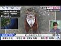 【LIVE】最新気象・地震情報 2024年8月6日(火)／局地的に雨雲が発達　天気の急変に注意＜ウェザーニュースLiVEコーヒータイム・松雪 彩花／飯島 栄一＞