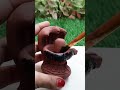 DIY Clay Shivling Making Time-lapse || Shivling Smoke Fountain Making With Mud..