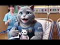 Wife Cat lost Eyesight - Husband Cat amazing! #cat #cute #ai #catlover #catvideos #cutecat #aicat