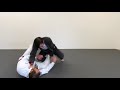 Seated (Butterfly) Guard Ankle Pick