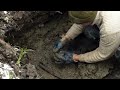 Incredible Relics Found in German Dugouts - Metal Detecting WWII Battlegrounds