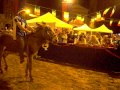 video Palio degli asini.avi Borgomanero 2011