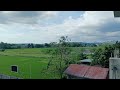 Philippines Country View of Rice Fields