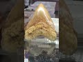 Chicagoland Gem and Mineral Show - May 2024 - Quick Compilation