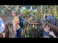 My first visit to the Adventureland Treehouse