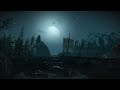 Witcher 3 - Skellige - Night Ambience & Music