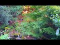 【4K】Waterfall in japan. Relaxing Nature Sounds.