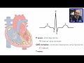 Heart Conduction System & ECG (EKG)