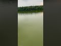 Lake in USA #usa #bangla #kolkata