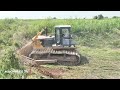 Amazing Bulldozer Clearing Land Brush Clearing Next Level SHANTUI SD22S