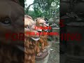 HOW TO MAKE LION SCULPTURE  STEP BY STEP ,/ FIBERGLASS ANIMAL STATUE