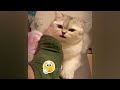 🐕😍#🤑🤑When a silly Cat becomes your best friend😍😹The funniest animals and pets