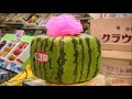 The Amazing History of Watermelon