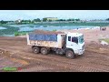 Show Wonderful Strong Shantui DH17c2 Dozer Pushing sand And 20 ton Dongfeng Dump Truck pouring sand