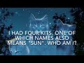 Guess The Warrior Cat - Part 1