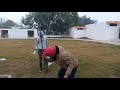 Plant the trees in park village kanjla(sangrur)