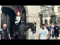 King’s Guard and Horse Pushed an IDIOT AWAY So he can do his Job!