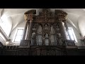 Gubbio - Cosa visitare in un giorno nella più antica città medievale dell'Umbria