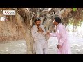 Ramzi new funny video, Rachnavi tv team, Comedy video by SS Gold Punjab