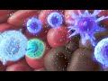 Tumour immunology and immunotherapy
