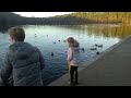 Billy & Sienna feeding the ducks Sutton Coldfield Park