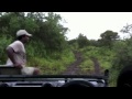Epic Elephant Charge - Thula Thula African Adventure
