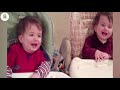 Best Videos Of Cute and Funny Twin Babies try not to laugh - Chubby Baby Twins compilation