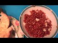 The BEST Way To Open & Eat A Pomegranate