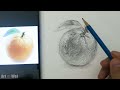 Draw and Shading an Orange