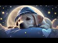 Whispered Lullabies | Tiny Sleepy Tunes | Relaxing Baby Music For Sweet Dream ♫♫♫