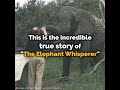 THE AMAZING STORY OF THE ELEPHANT WHISPERER