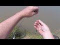 Waggler Fishing for Beginners - Everything you need to Know