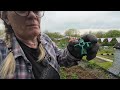 Allotment and garden strawberry protection