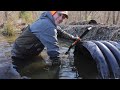Trapping beavers to save flooded roads and timber. (Awesome footage)