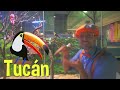 Blippi Visita Acuario | Aprender Sobre Los Animales Marinos | Actividades | Blippi En Español