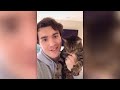 Compilation New Funniest Cat Videos 😹 You laugh You Lose 🤣 Best of Funny Cat Videos 😂 #5