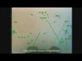 Dogfight: Rafale vs F22 (Close combat)