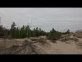 Sand Forest of Sandbanks (Calm & Relaxing Sounds) (4K)