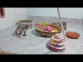 New Funny Animals 2024 🐶Funniest Dogs and Cats 😻👋