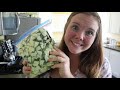 PRESERVING a YEAR'S worth of ZUCCHINI || So easy and NO CANNING!!!!