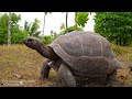 FOUR SEASONS SEYCHELLES (DESROCHES ISLAND) ☀️🌴 A Dream Getaway in Indian Ocean (4K UHD 2022)