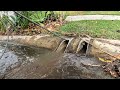 Blocked Drain 424 - 2023 Guinness World Record ROOOT Extraction (Contender)