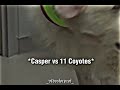 capser vs 11 coyotes. 💀